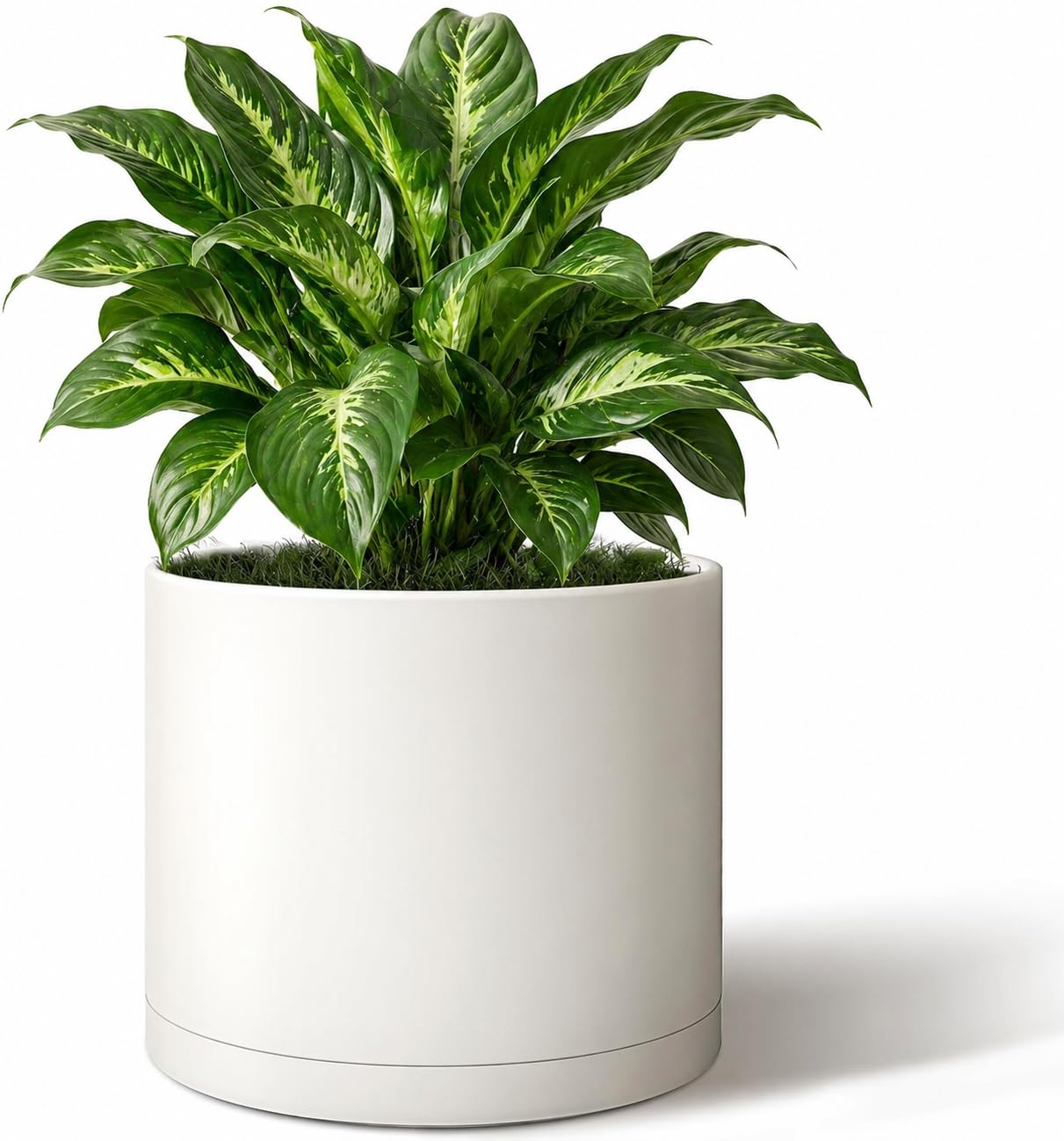 Amazon.com: Giraffe Creation 10-Inch Round Cylinder Plant Pot